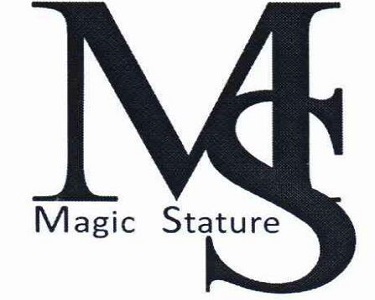 Magic Stature內衣