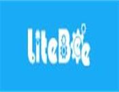 Litebee創客教育無人機