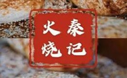 秦記火燒